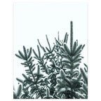 Nordic Moose Posters and Prints Winter Animal Snow Wall Art Forest