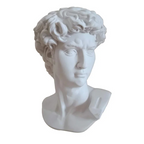 Norév  David Statue Head Portraits Mini Gypsum Michelangelo