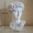 Norév  David Statue Head Portraits Mini Gypsum Michelangelo